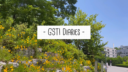 GSTI Diaries